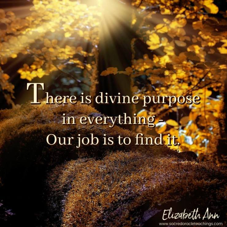 sacred oracle image 1